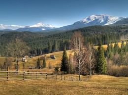 &nbsp; / [img]http://i.imgur.com/DqQ5Vnh.jpg[/img]
[img]http://i.imgur.com/UuhvCgn.jpg[/img]
