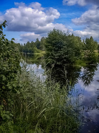 Remembering summer / ***