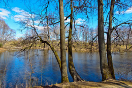 By the lake / ***