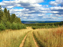 The road to autumn / ***