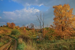 Autumn colors. / ***