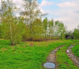 Spring rain / ***