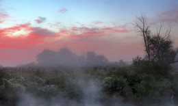 Early Dawn / ***