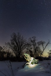 Drachen-Geburt / Nachtaufnahme eines Baumstumpfes. Beleuchtet mit einer LED Taschenlampe.
