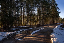 sunlit / ***