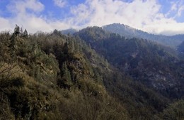 In the mountains of the Caucasus / ***