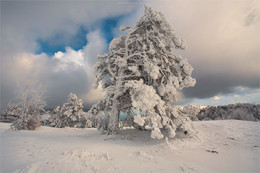 Winter time / https://mikhaliuk.com