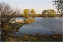 Evening Landscape / ***