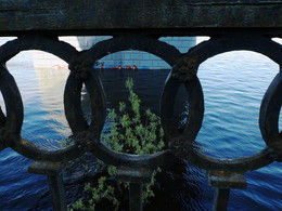 Under the bridge / ***