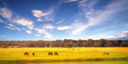 Under the blue sky ... / ***