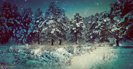 In a fairy tale / ***