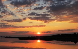 Summer morning / ***