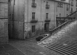flood / ***