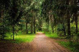 Walk / ...