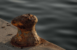 Elementary particle / ***