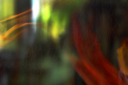 Elementary particle / ***