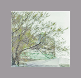 Elementary particle / ***