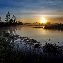  / Vechernyaya ten'