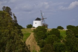 Windmill / ***