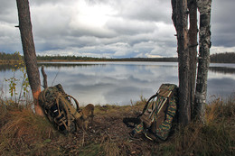 Lake in the marshes / ***