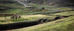 Roads / ***