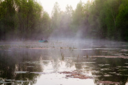 On the morning fishing / ***