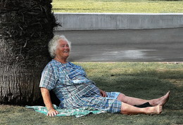 The joy of life / ***