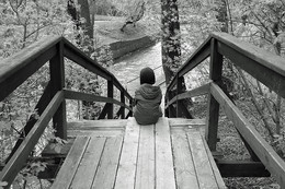 The pervasive nature of the trees were big ... / ***