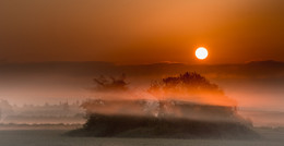 A furry fog / ***