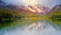 A furry fog / ***