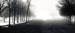 A furry fog / ***