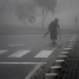 A furry fog / ***