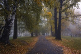 Autumn walk / ***