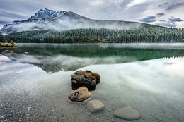 A furry fog / BANFFE - CANADA