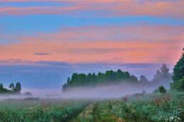 Fog / ***