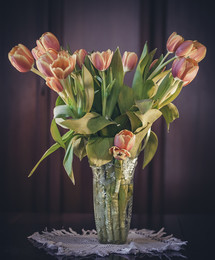 Bouquet of Tulips / ***