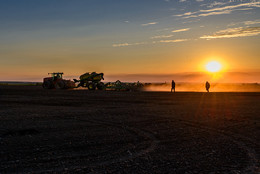 Sowing / ***