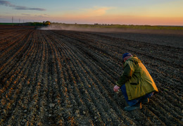 Sowing / ***