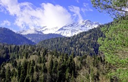 The Caucasus Pass / ***