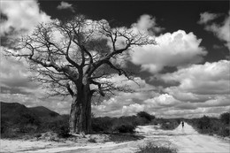 African motif / ***
