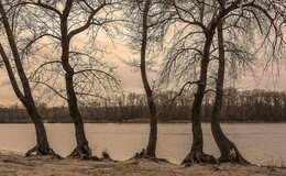 late autumn / ***