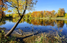 Autumn etude / ***