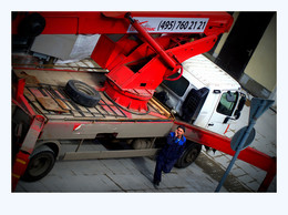 working life / ***