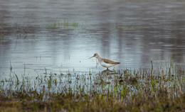 bad weather ... / ***