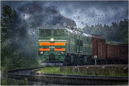 In the rain ... / Nikon D5200