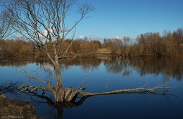 &nbsp; / music: Thrupence-Alethea
https://www.youtube.com/watch?v=KXxaciTf7uM