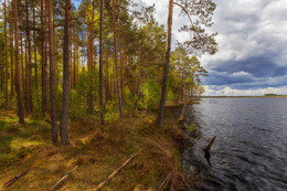At the lake ... / ***
