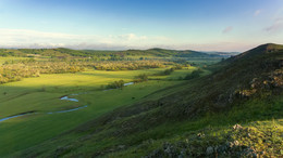 Walking horses ... / ***