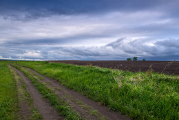 Road / ***