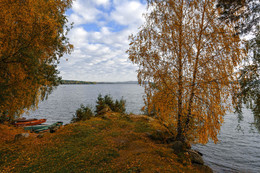 Pond / ***